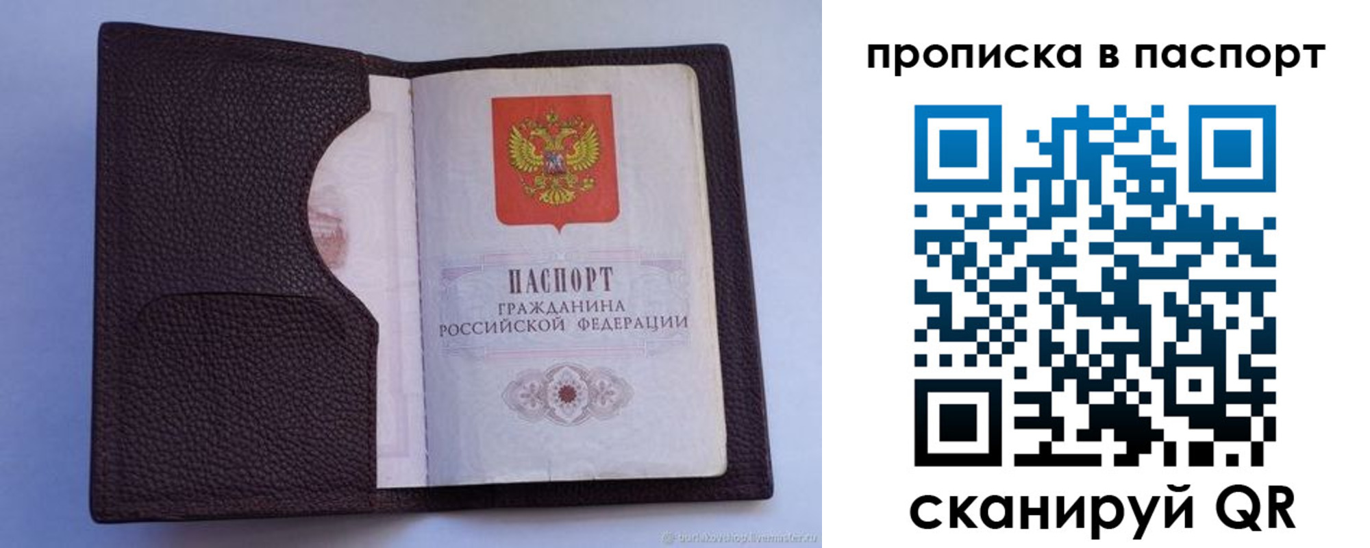 прописка законно в Завитинске